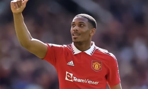 職業生涯中 職業生涯中